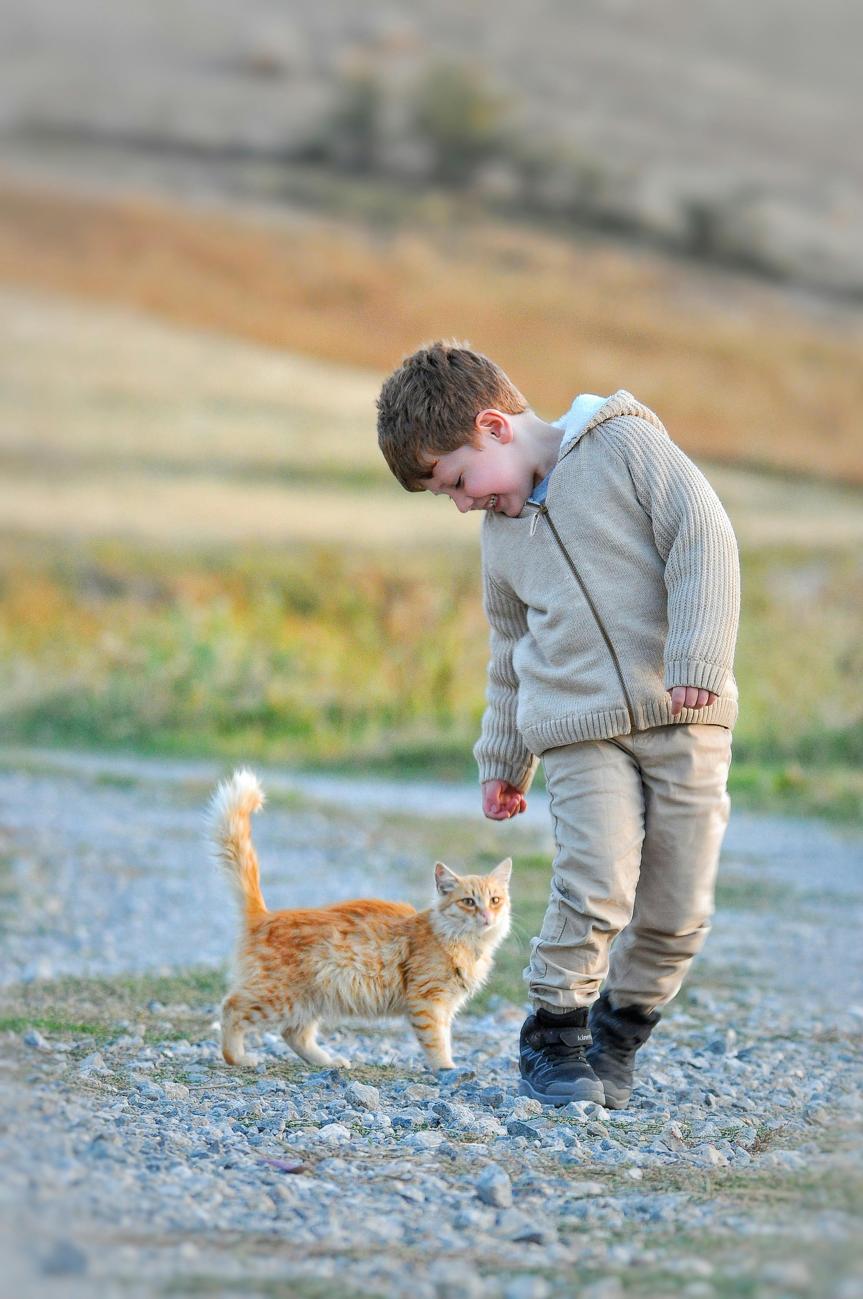 The Importance of Playing with Your Cat