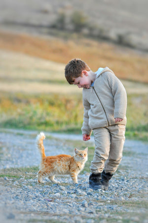 The Importance of Playing with Your Cat