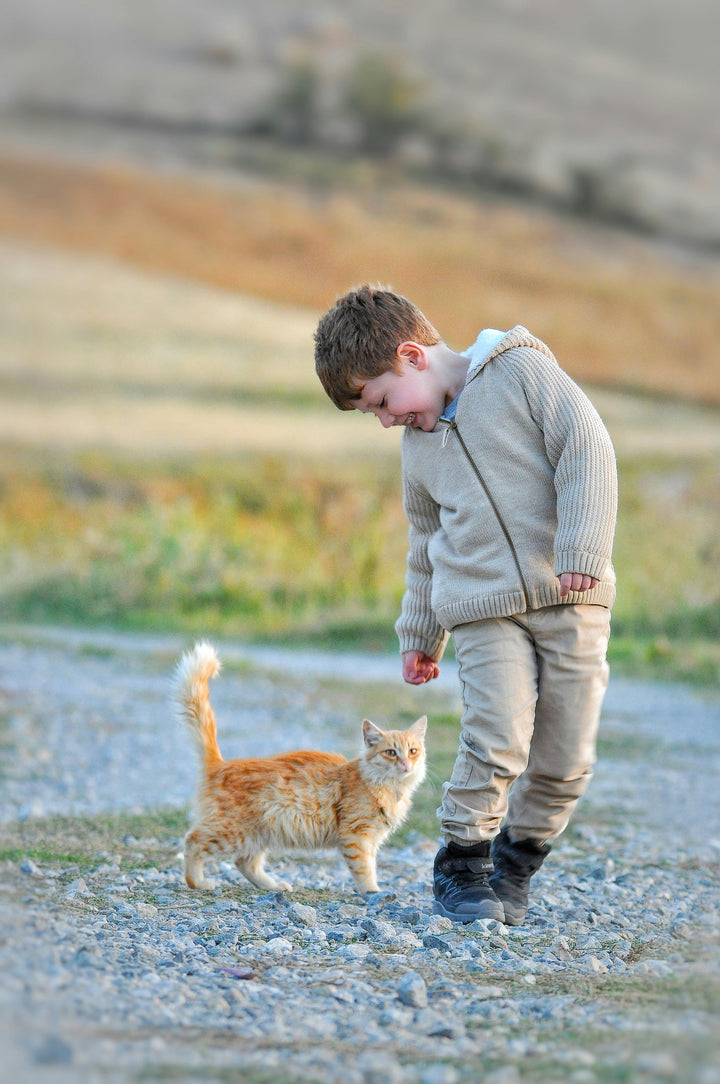 The Importance of Playing with Your Cat