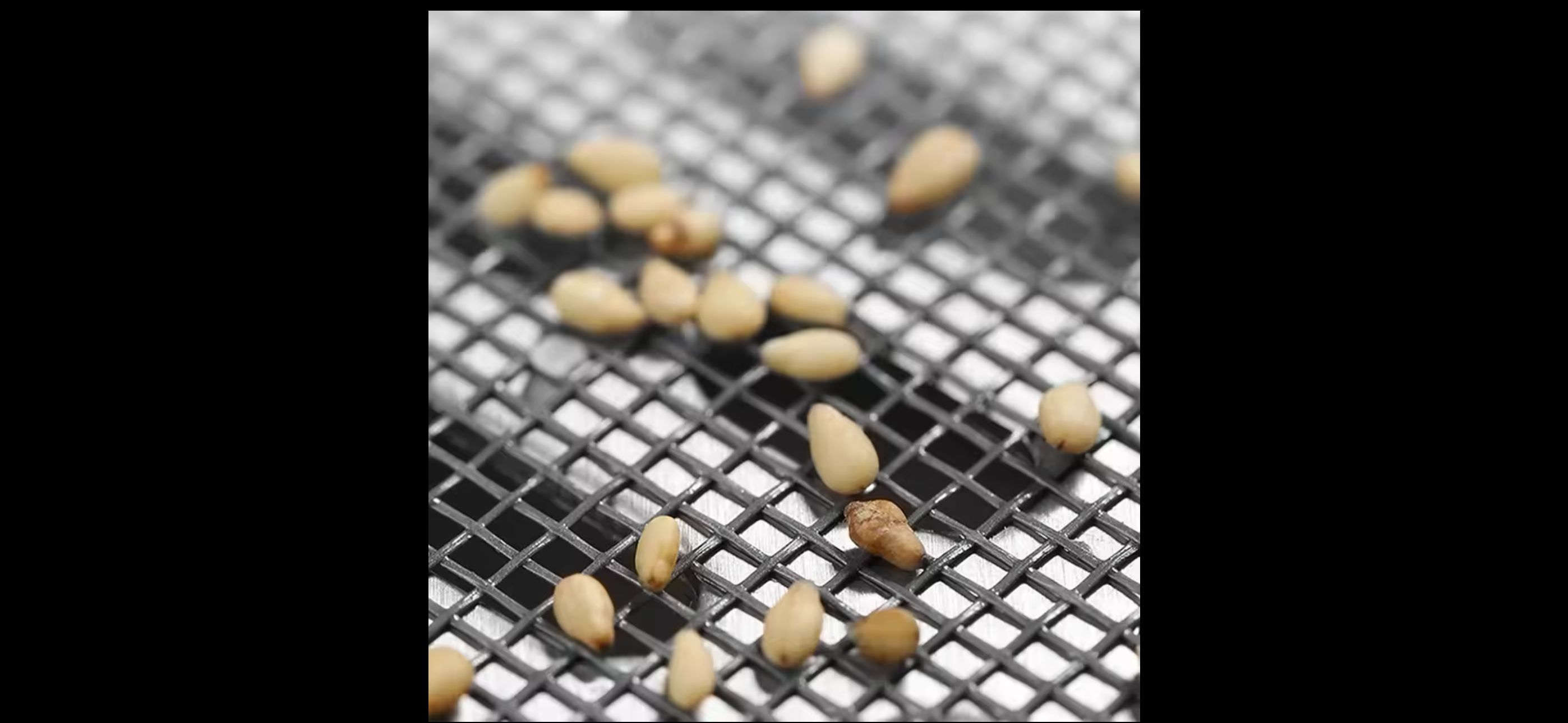 Smart Drain Roll – 10m | Stop Clogs, Odors & Insects

✔ Fits sinks, showers & tubs – ideal for restaurants, cafes & hotels
✔ Prevents hair & dirt buildup
✔ Blocks unpleasant odors
✔ Keeps insects out
✔ Hygienic, single-use & easy to cut