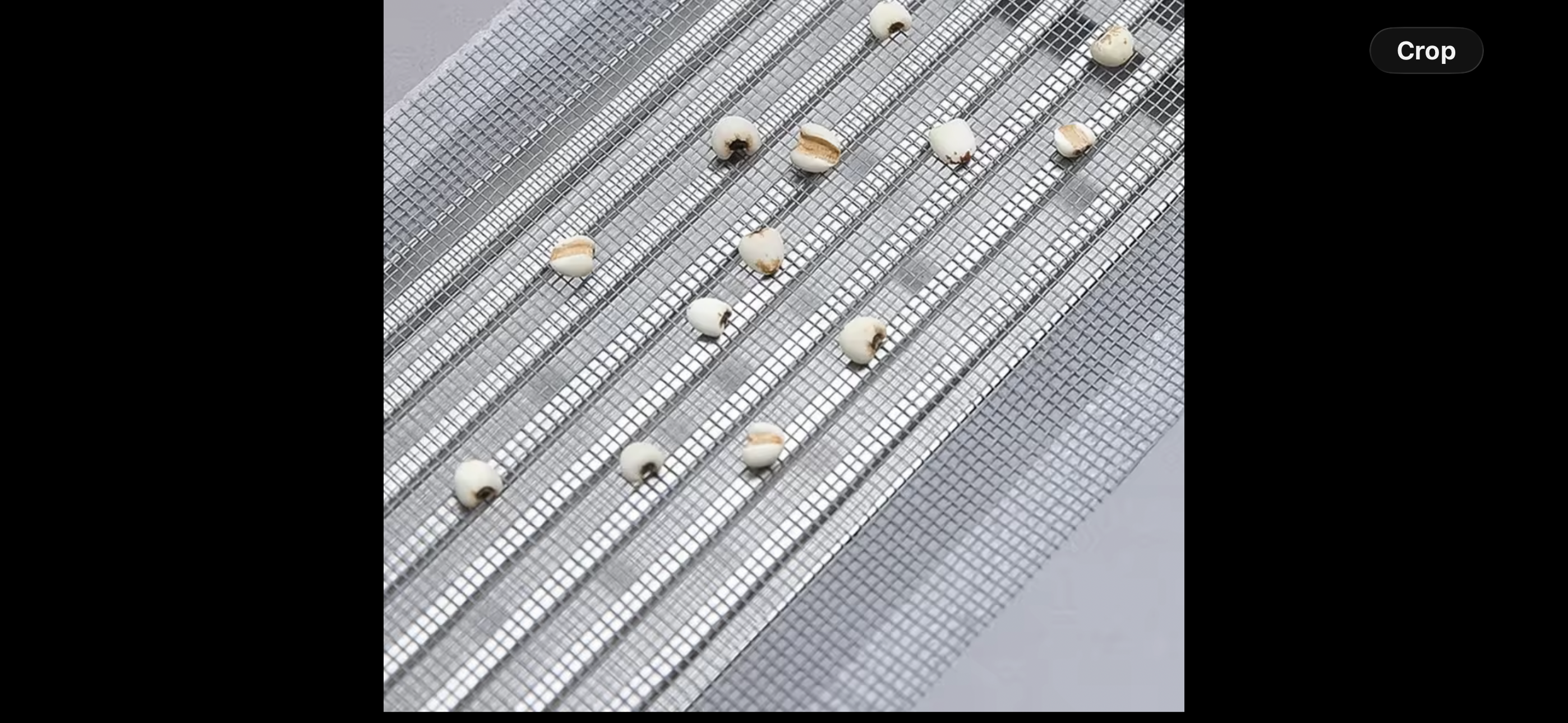 Smart Drain Roll – 10m | Stop Clogs, Odors & Insects

✔ Fits sinks, showers & tubs – ideal for restaurants, cafes & hotels
✔ Prevents hair & dirt buildup
✔ Blocks unpleasant odors
✔ Keeps insects out
✔ Hygienic, single-use & easy to cut