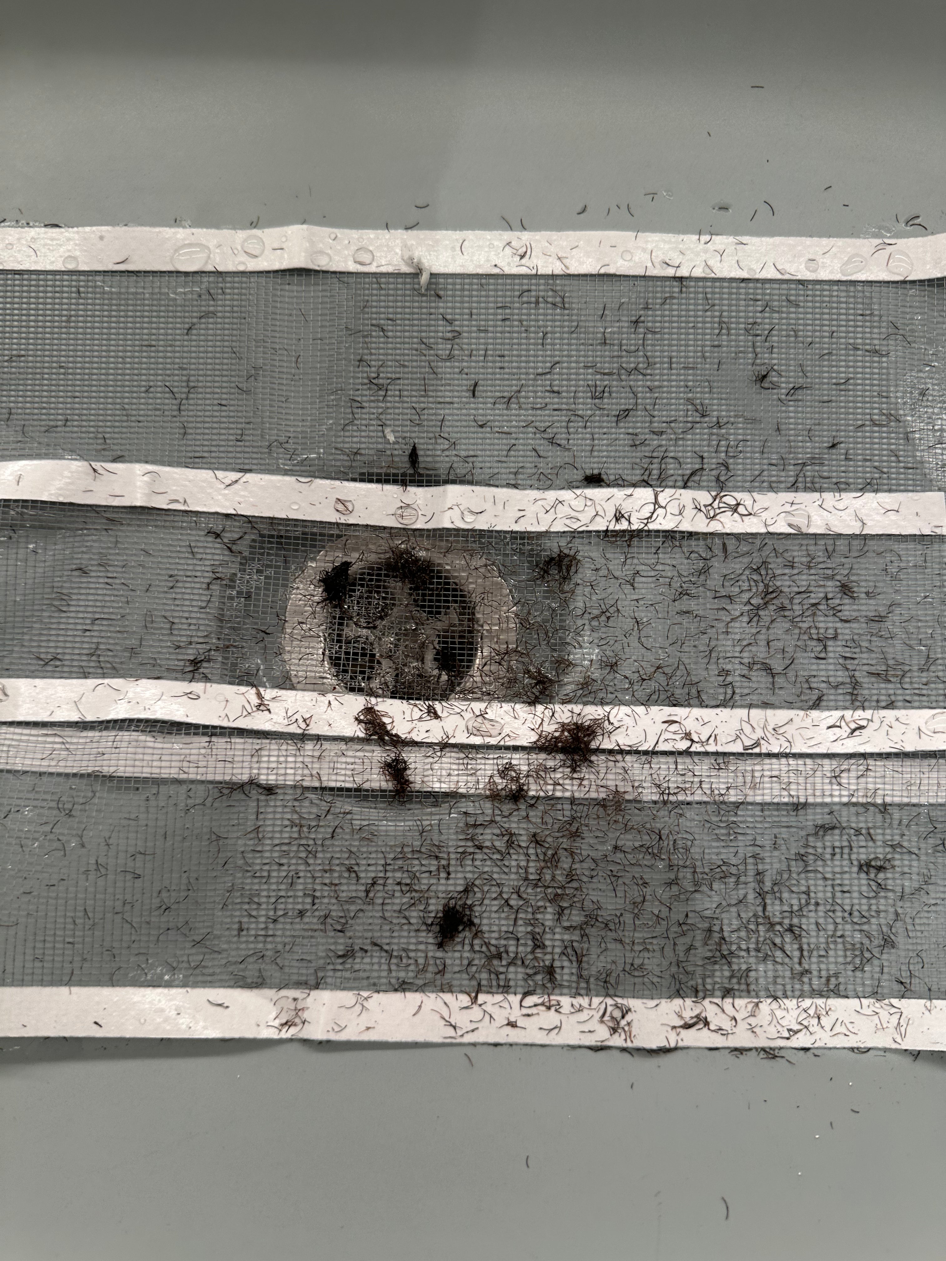 Smart Drain Roll – 10m | Stop Clogs, Odors & Insects

✔ Fits sinks, showers & tubs – ideal for restaurants, cafes & hotels
✔ Prevents hair & dirt buildup
✔ Blocks unpleasant odors
✔ Keeps insects out
✔ Hygienic, single-use & easy to cut