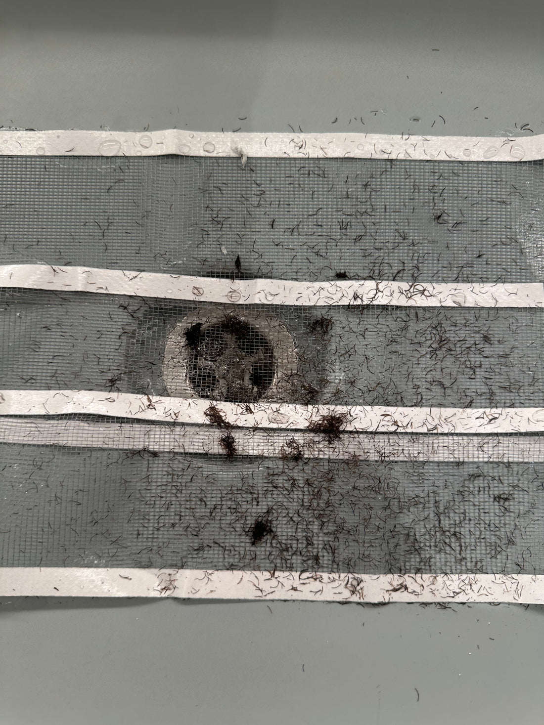 Smart Drain Roll – 10m | Stop Clogs, Odors & Insects

✔ Fits sinks, showers & tubs – ideal for restaurants, cafes & hotels
✔ Prevents hair & dirt buildup
✔ Blocks unpleasant odors
✔ Keeps insects out
✔ Hygienic, single-use & easy to cut