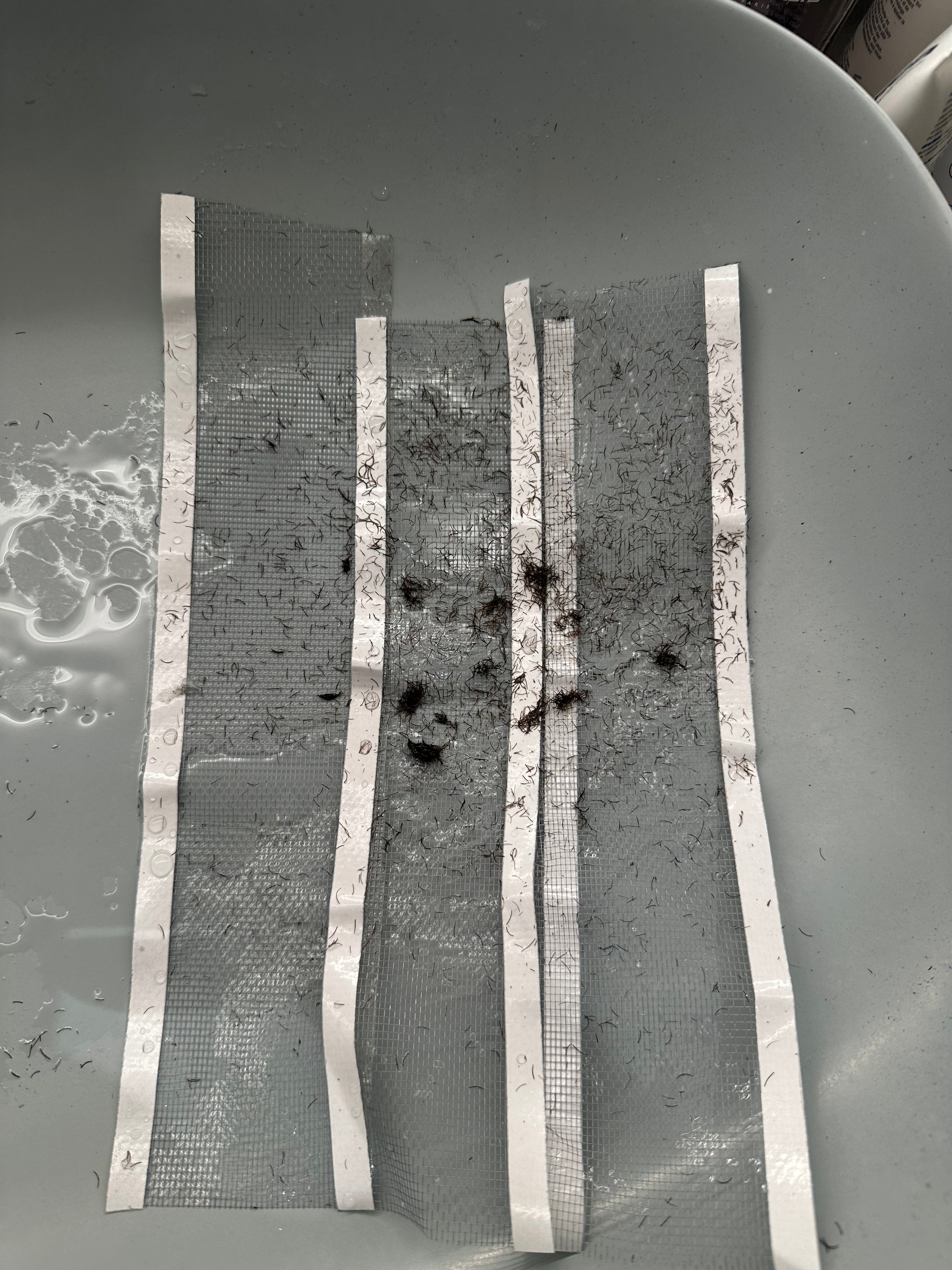 Smart Drain Roll – 10m | Stop Clogs, Odors & Insects

✔ Fits sinks, showers & tubs – ideal for restaurants, cafes & hotels
✔ Prevents hair & dirt buildup
✔ Blocks unpleasant odors
✔ Keeps insects out
✔ Hygienic, single-use & easy to cut